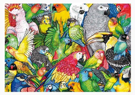 Puzzle Parrots Educa 500 dielov a Fix lepidlo