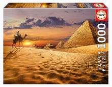 Puzzle Camel in the Desert Educa 1000 piese și lipici Fix