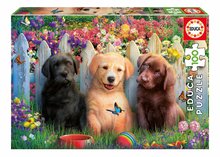 Puzzle Posing Puppies Educa 100 dielov od 6 rokov EDU19994