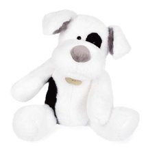 Plyšový psík Noopy Dog Histoire d’ Ours biely 40 cm od 0 mes HO3127