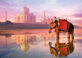 Puzzle Genuine Elephant at Taj Mahal Educa 1000 dielov od 12 rokov